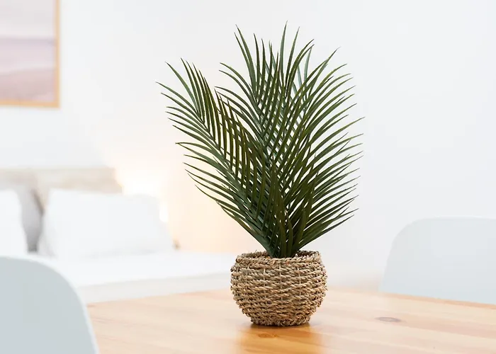 Daire Playa Canteras